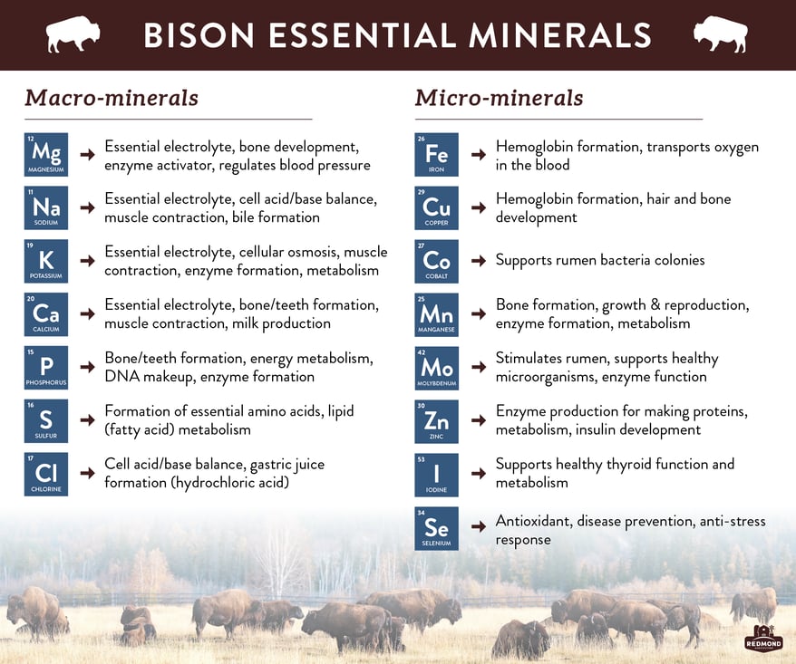 Bison Minerals